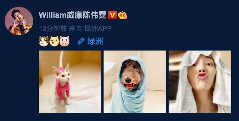 陈伟霆晒宠物萌照 与爱犬撞同款"出浴"造型搞怪逗趣
