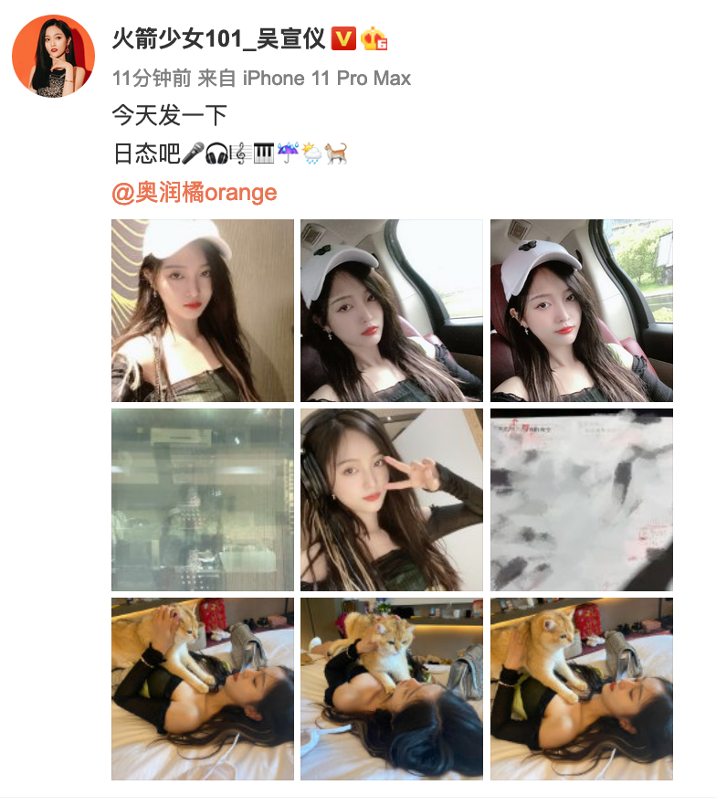 吴宣仪晒美照分享日常 与猫咪玩耍悠闲惬意