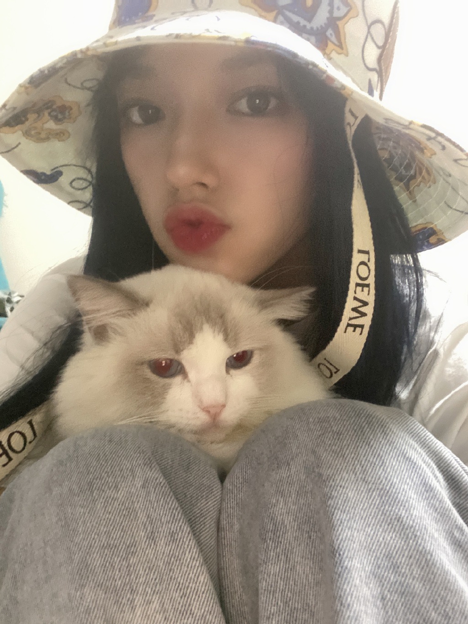 程潇晒与爱猫自拍美照 戴印花渔夫帽清新可人