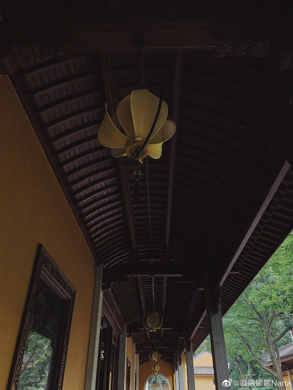 欧阳娜娜一身简约装扮漫步庭院 捕捉自然美景显文艺知性