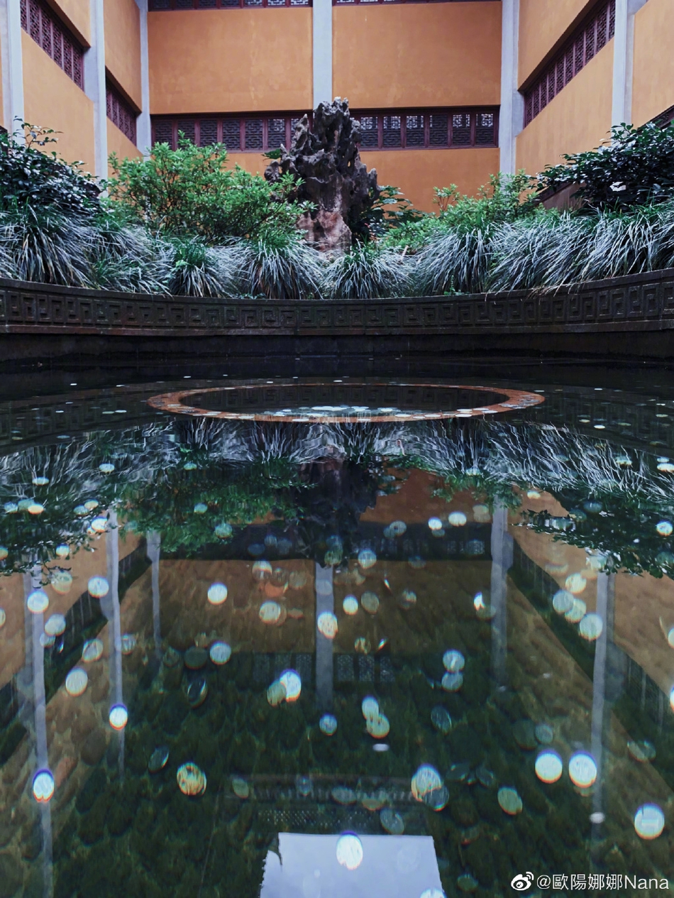 欧阳娜娜一身简约装扮漫步庭院 捕捉自然美景显文艺知性