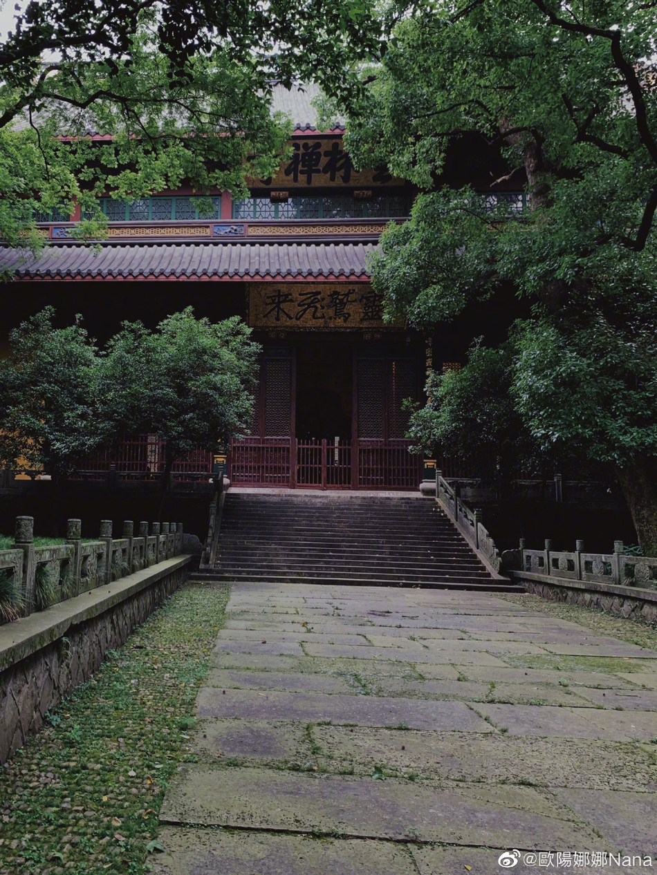 欧阳娜娜一身简约装扮漫步庭院 捕捉自然美景显文艺知性