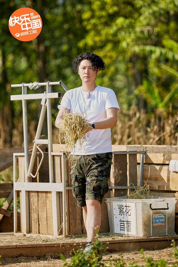 彭昱畅蘑菇屋里勇登椰树 超级月亮《向往4》里玩躲猫猫