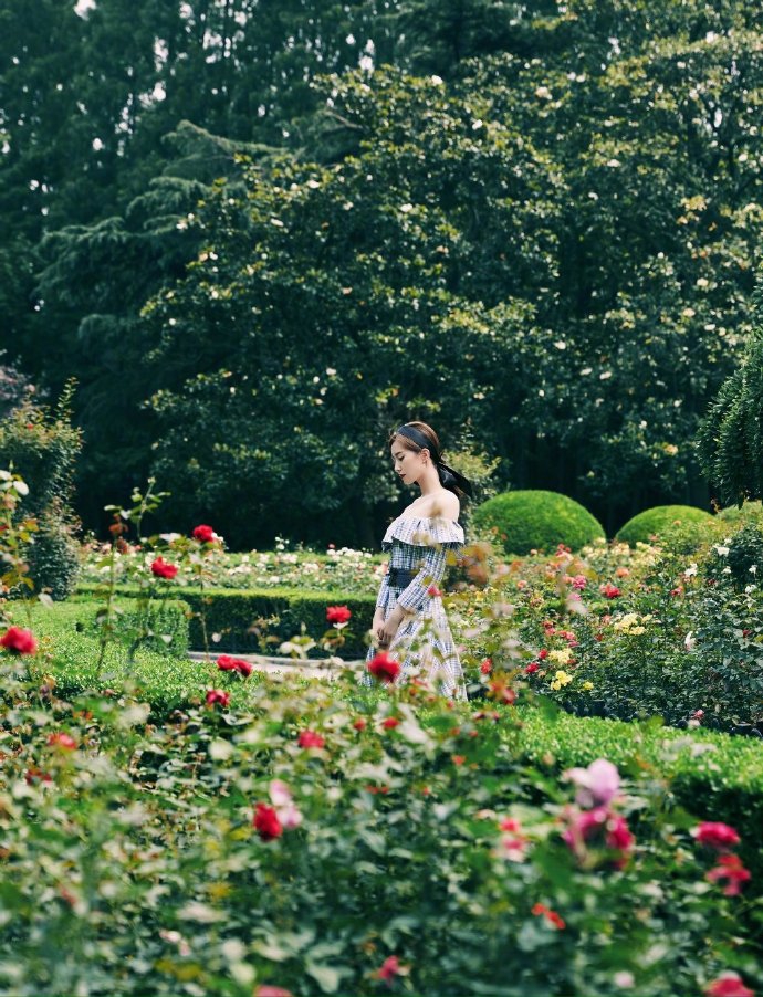 刘诗诗穿一字肩大秀天鹅颈 格纹裙装优雅似公主