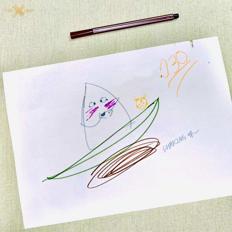 THE9成员手绘粽子庆祝端午节 或抽象或可爱画风各异