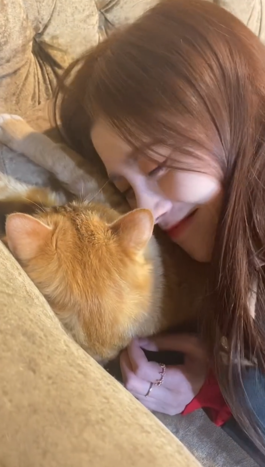 鞠婧祎分享美照记录日常 双眸放电害羞浅笑优雅似公主