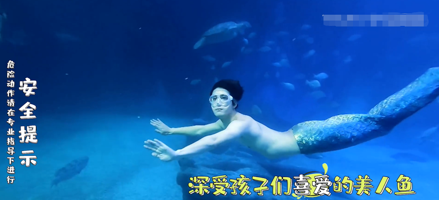 《看我的生活》王大陆当客服 陈学冬与鲸鲨共舞