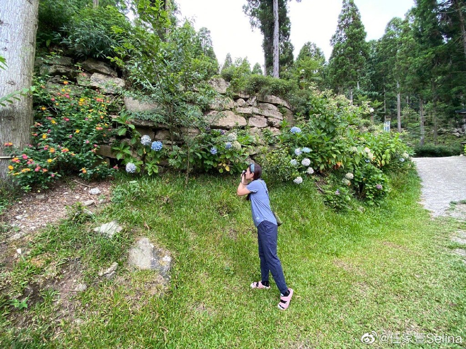 Selina梳双麻花辫清爽减龄 晒摄影作品幸福称有成就感