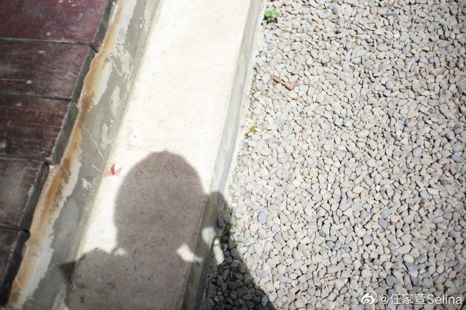 Selina梳双麻花辫清爽减龄 晒摄影作品幸福称有成就感