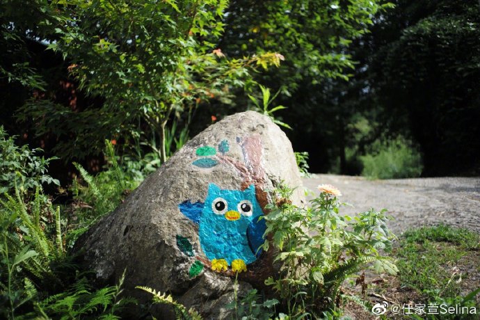 Selina梳双麻花辫清爽减龄 晒摄影作品幸福称有成就感