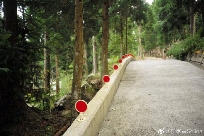 Selina梳双麻花辫清爽减龄 晒摄影作品幸福称有成就感