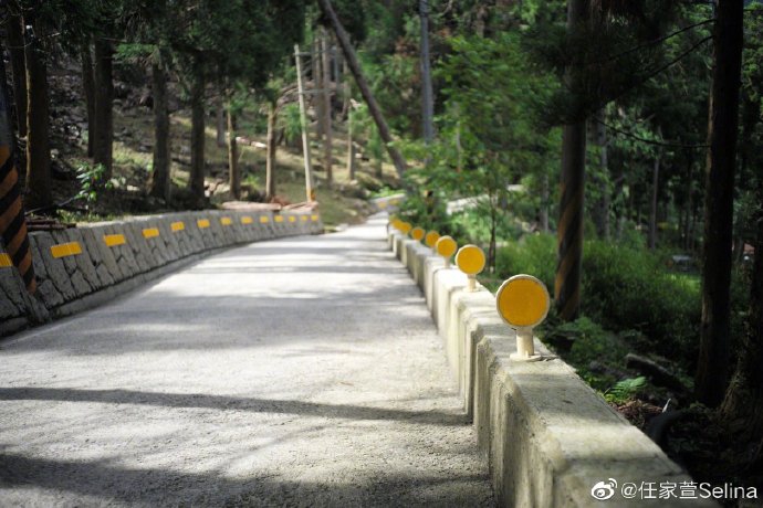 Selina梳双麻花辫清爽减龄 晒摄影作品幸福称有成就感