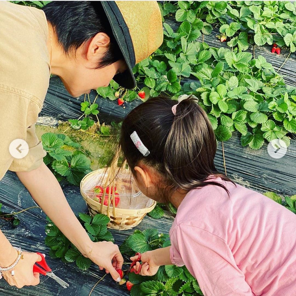 梁咏琪带女儿回归大自然摘草莓 母女互动画面超温馨