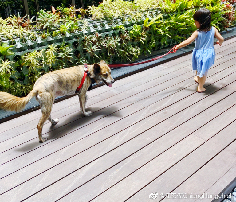 江宏杰感慨女儿瞬间长大 小小爱近照像极了福原爱