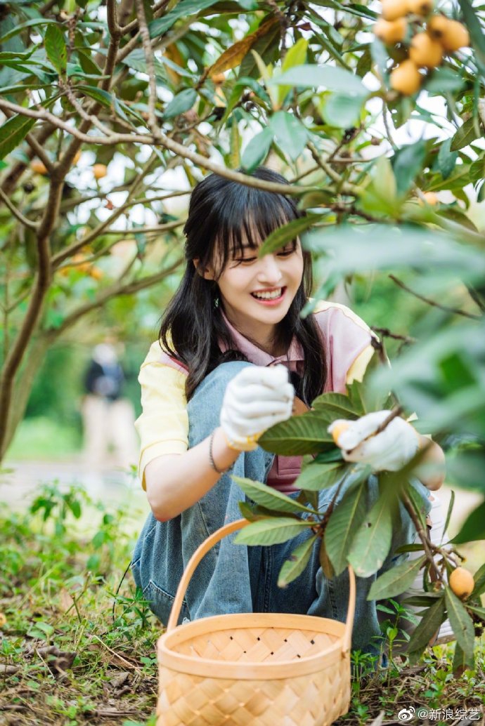 郑爽戴双星星发夹温婉可人 采摘枇杷喂萌娃画面温馨