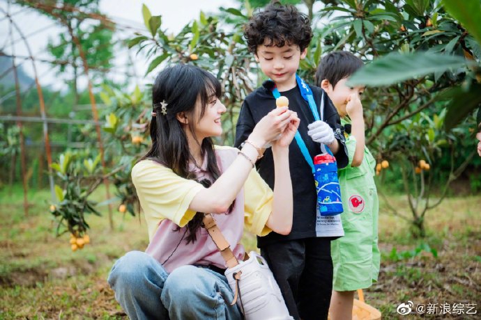 郑爽戴双星星发夹温婉可人 采摘枇杷喂萌娃画面温馨