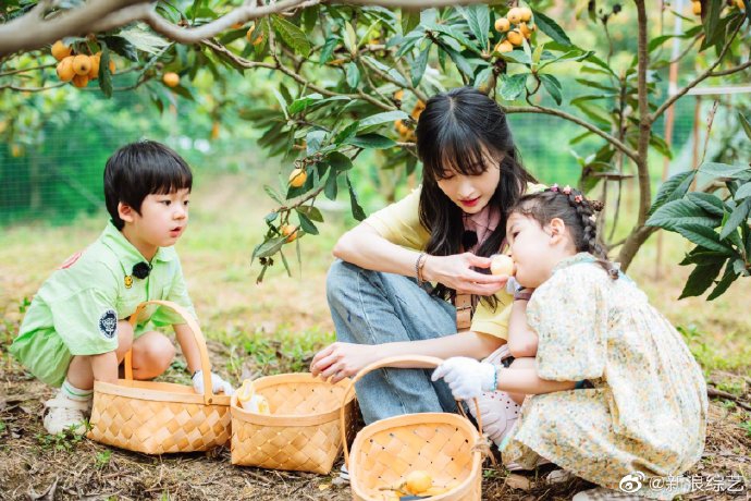 郑爽戴双星星发夹温婉可人 采摘枇杷喂萌娃画面温馨