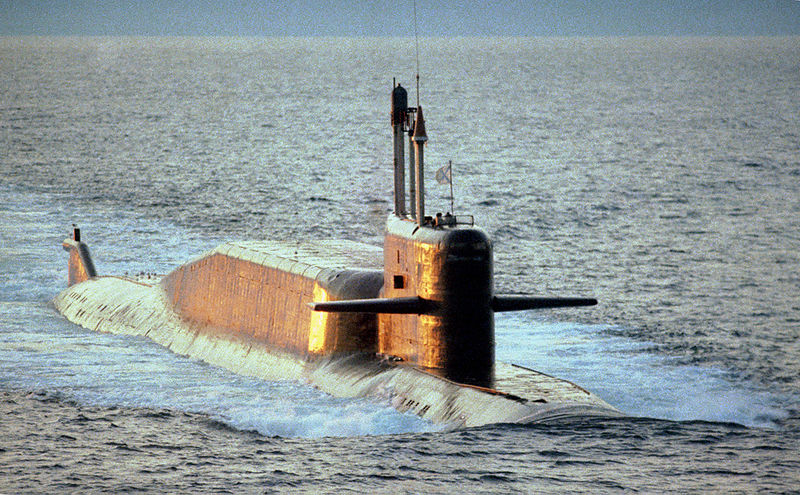 德尔塔4级核潜艇龟背图片
