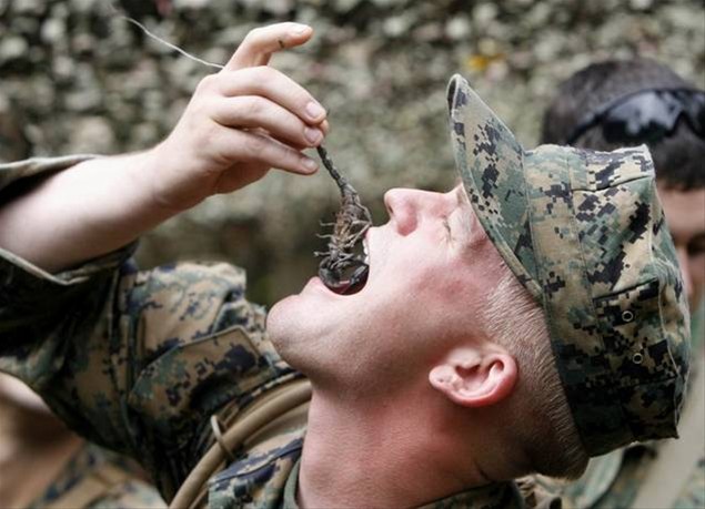 美國大兵體驗茹毛飲血