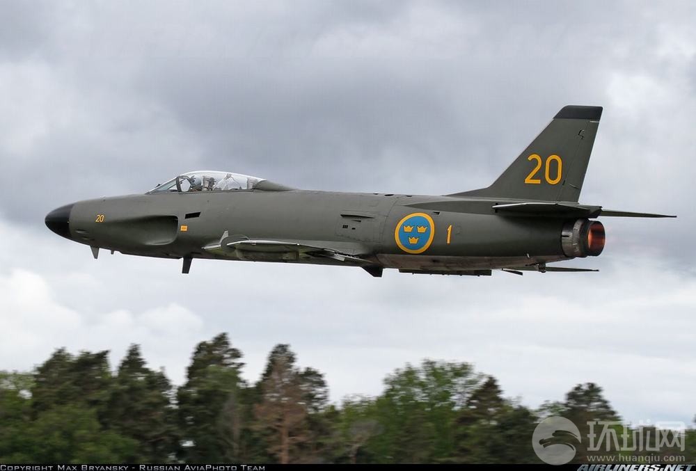 斯堪的纳维亚上空的鹰喜感与犀利结合的究极体