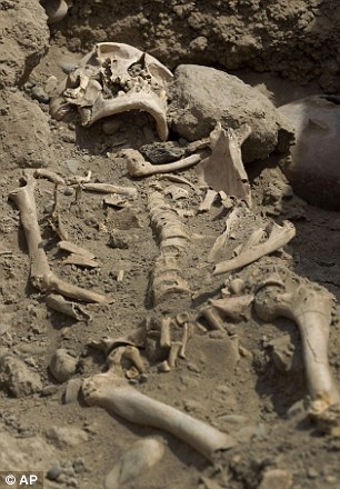 秘鲁古墓发掘出1400年前印加尸体骨架