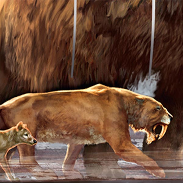 技术若成熟科学家能够成功复活的八大灭绝物种