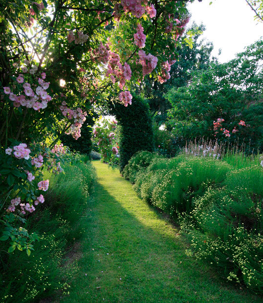 作品:玫瑰园日暮 欧洲花园摄影大奖 第三名摄影师:sergey karepanov