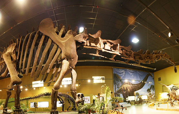 堪比3d侏罗纪公园的博物馆