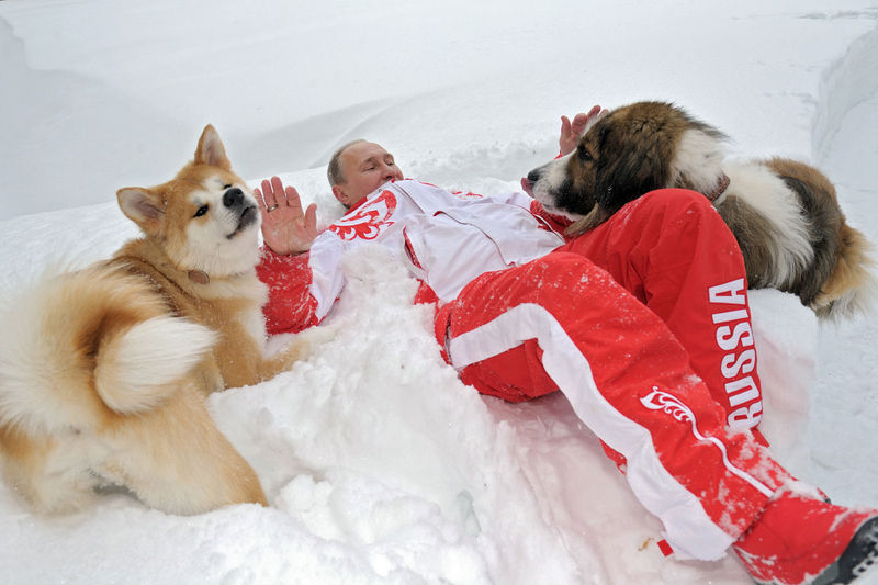 普京与秋田犬雪中嬉戏