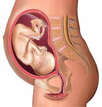 孕妇十月怀胎全过程