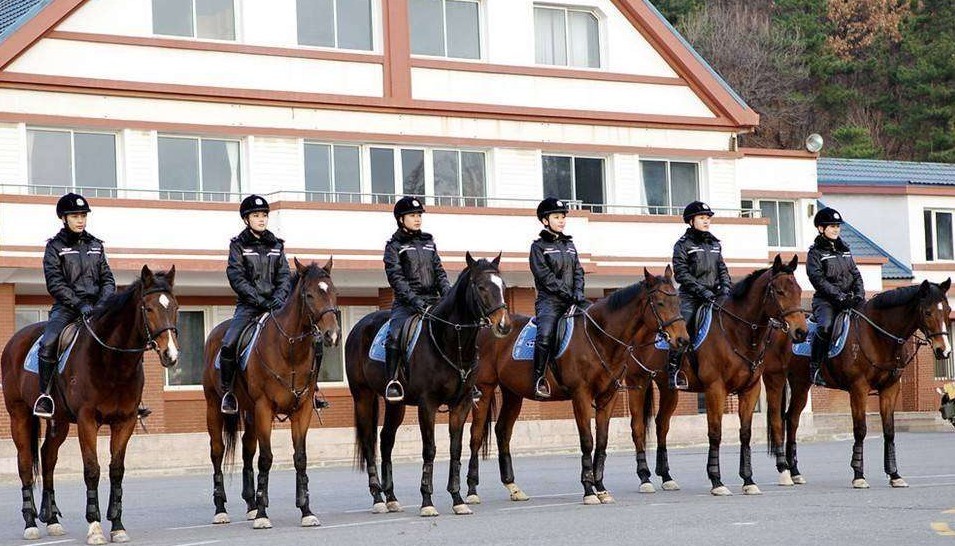 探秘大连女骑警训练基地