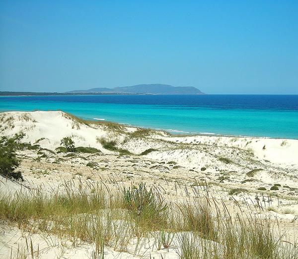 盘点中东和北非9个最佳沙滩组图