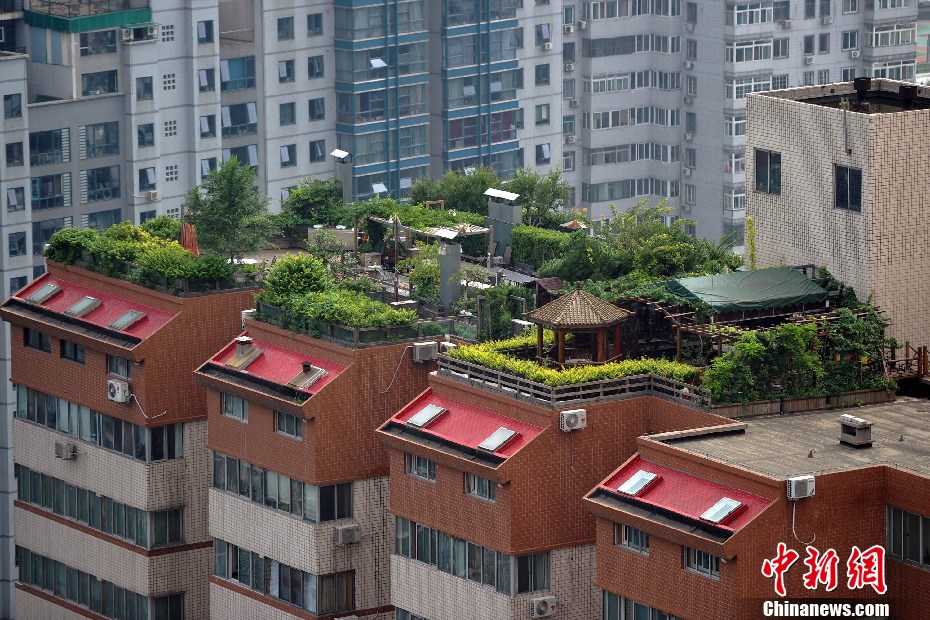 实地探访北京居民楼顶在建别墅