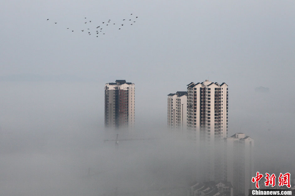 重庆大足浓浓秋雾城市若隐若现如梦幻仙境