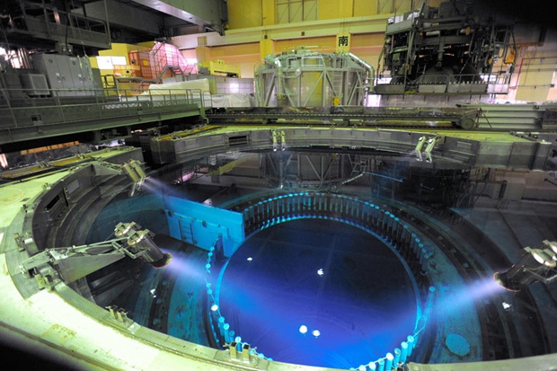 核反应堆内部图片