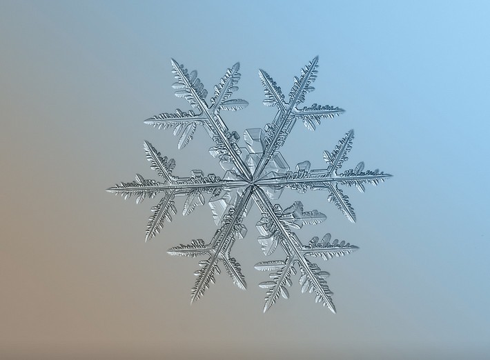 傻瓜相机拍出的震撼雪花美图组图