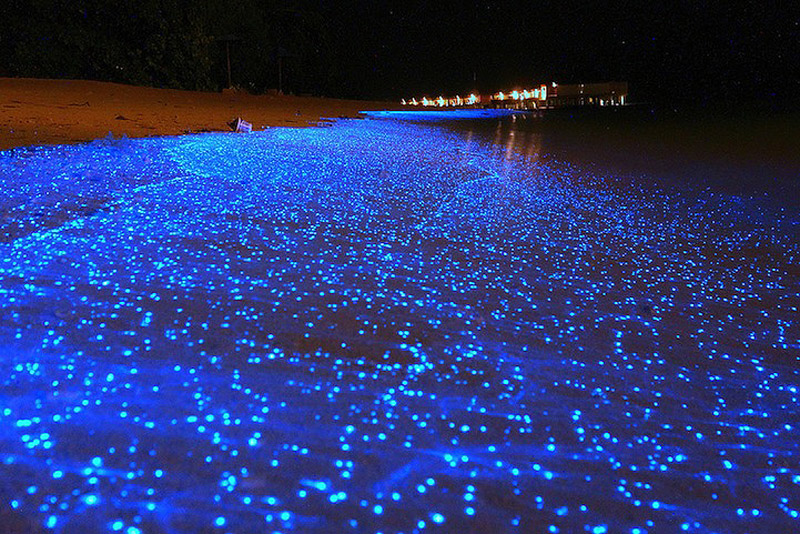 感受马尔代夫夜晚神奇的星空海滩