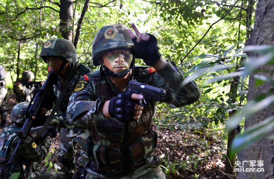 密林中缉毒精英部队悄然出击