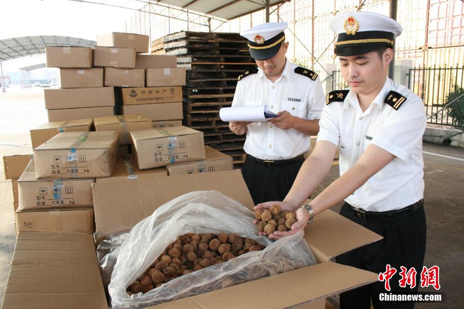 天然气水合物相态测试内容_测试内容_烟毒测试哪些内容