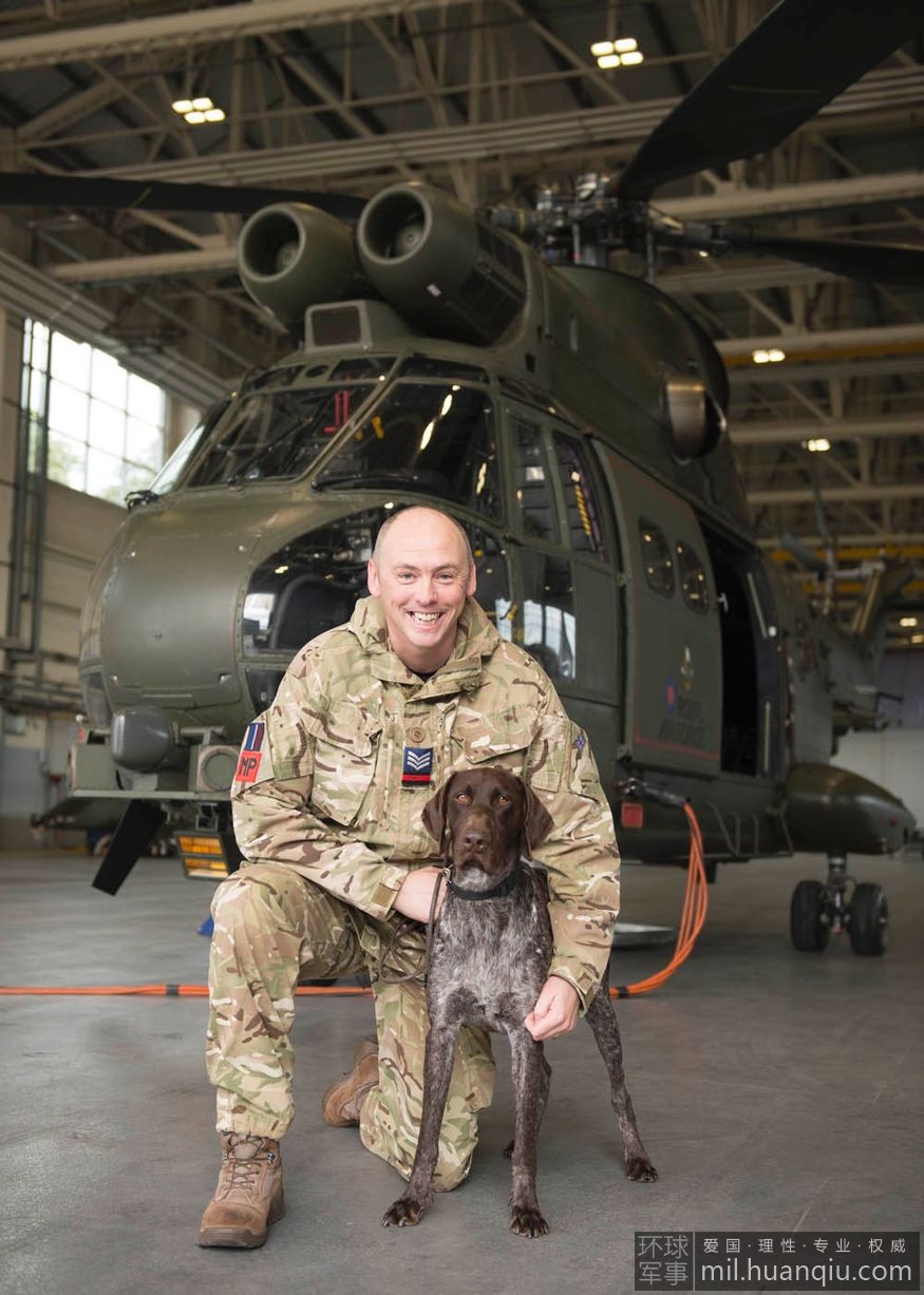 英國皇家空軍功勳犬造型炫酷