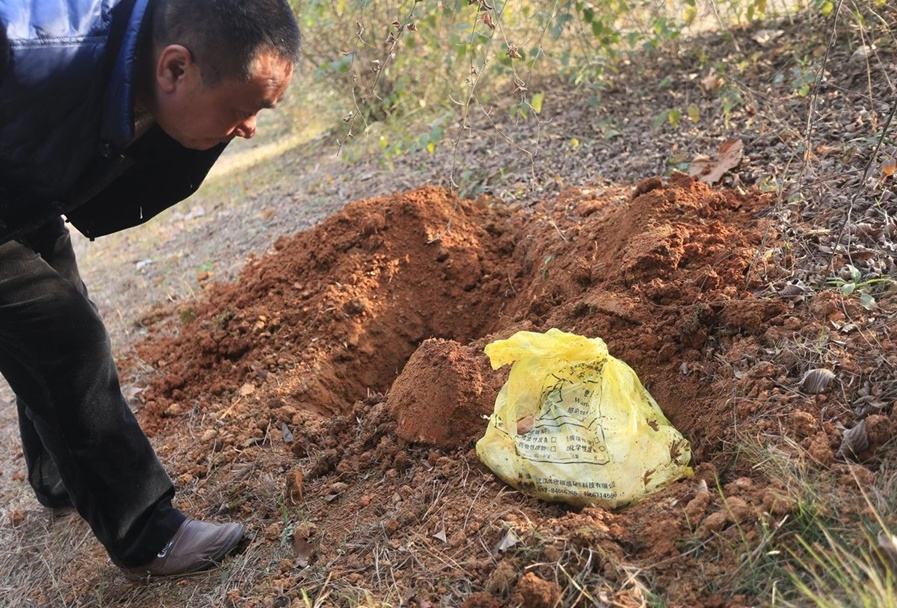 江西九江一公园惊现10多具婴儿死胎