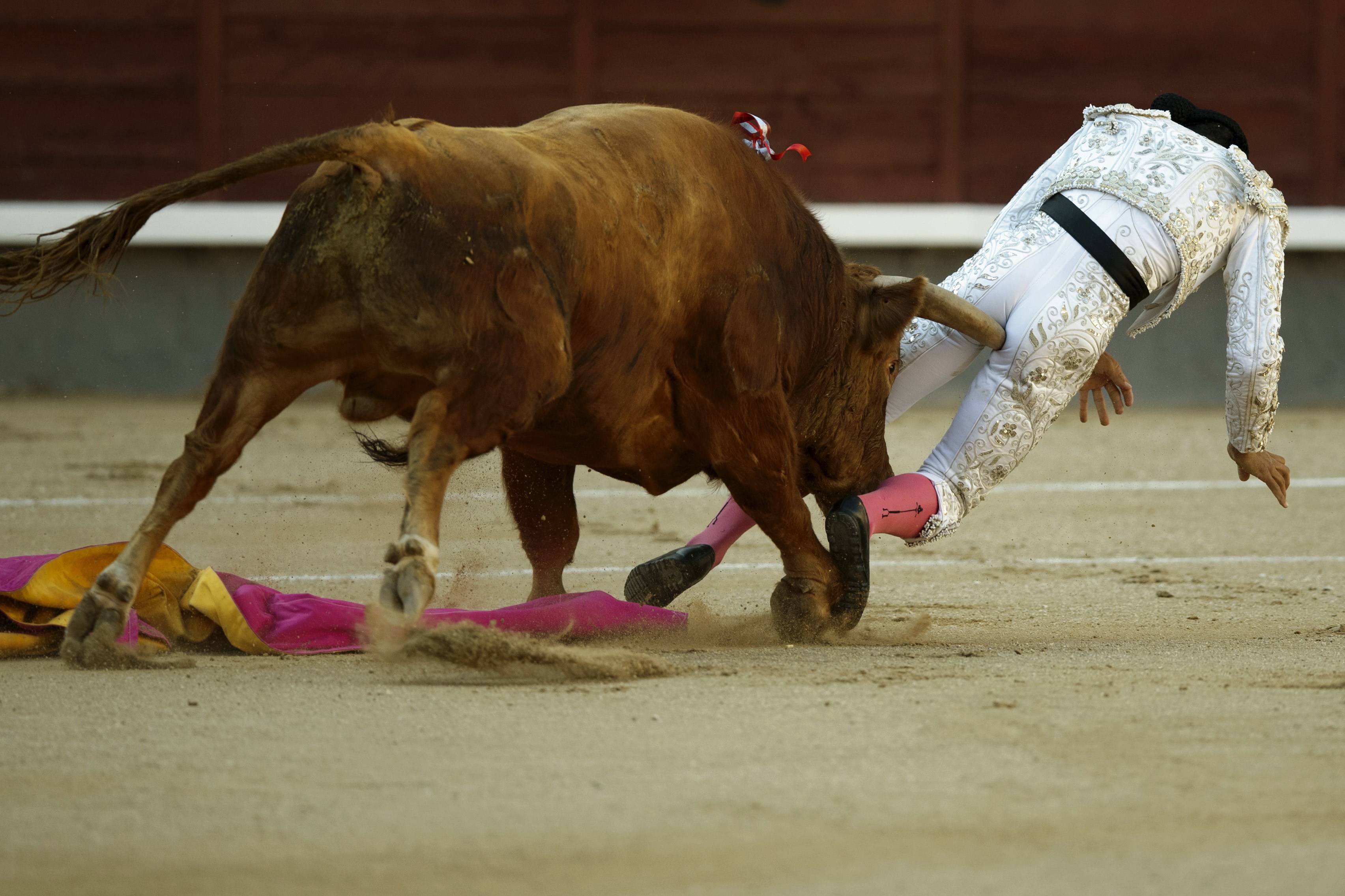 墨西哥女斗牛士被发狂公牛顶飞4名工作人员重伤