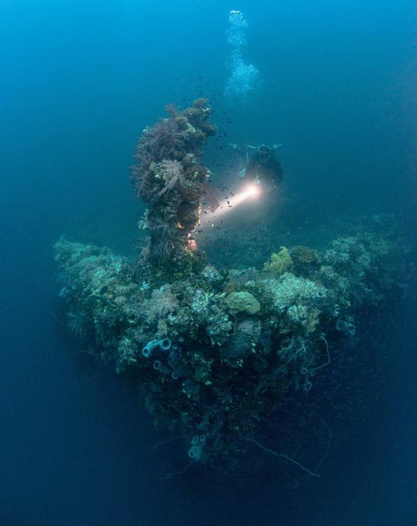 二战日军数十艘战舰沉睡西太海底