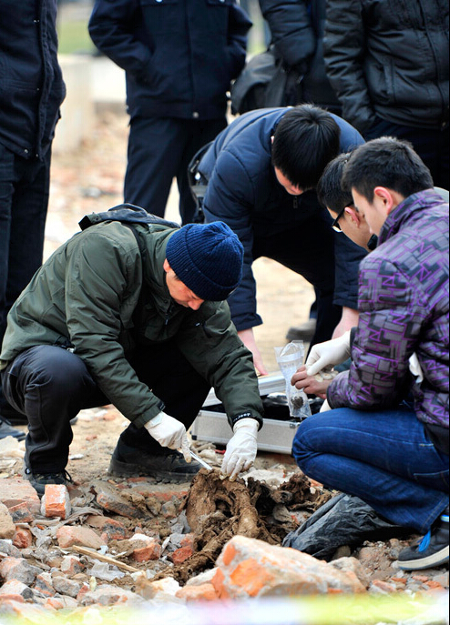 济南铺路渣土现大量高校遗漏尸块标本