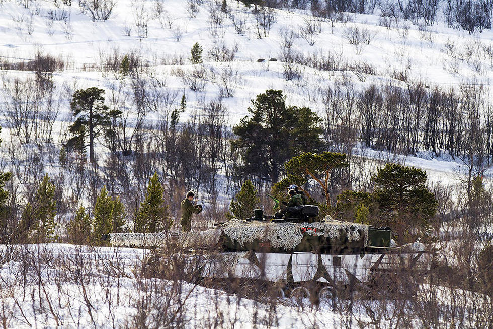 挪威豹2a4雪地迷彩值得借鉴