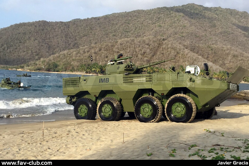 委内瑞拉军演vn1步战排成一溜