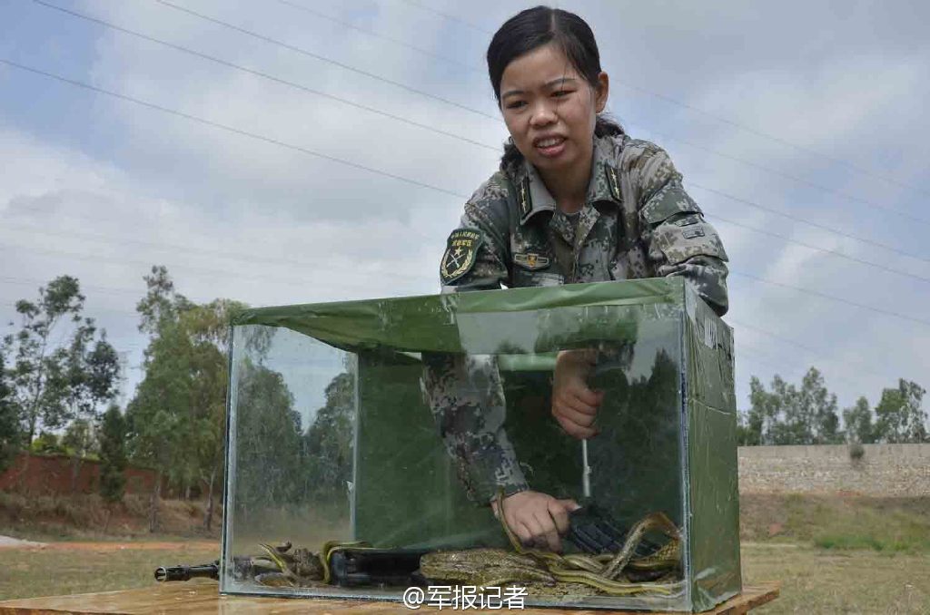解放军女特种兵从蛇窝中掏枪