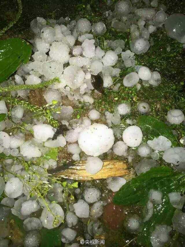 河南多地突降冰雹 大如鸡蛋