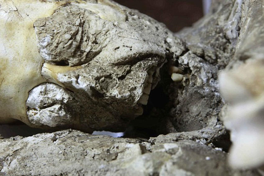 庞贝末日遇难者遗骸被复原惊恐表情震撼世人