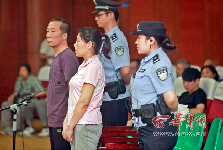 诈骗案庭审现场被告鞠躬道歉